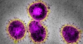 Coronavirus outbreak: India offers Global Inc. an alternative Coronavirus outbreak India offers Global Inc